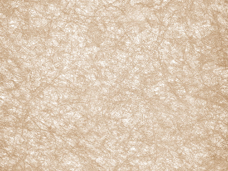 Film lembut langit-langit cetakan seni Film lembut langit-langit cetakan seni