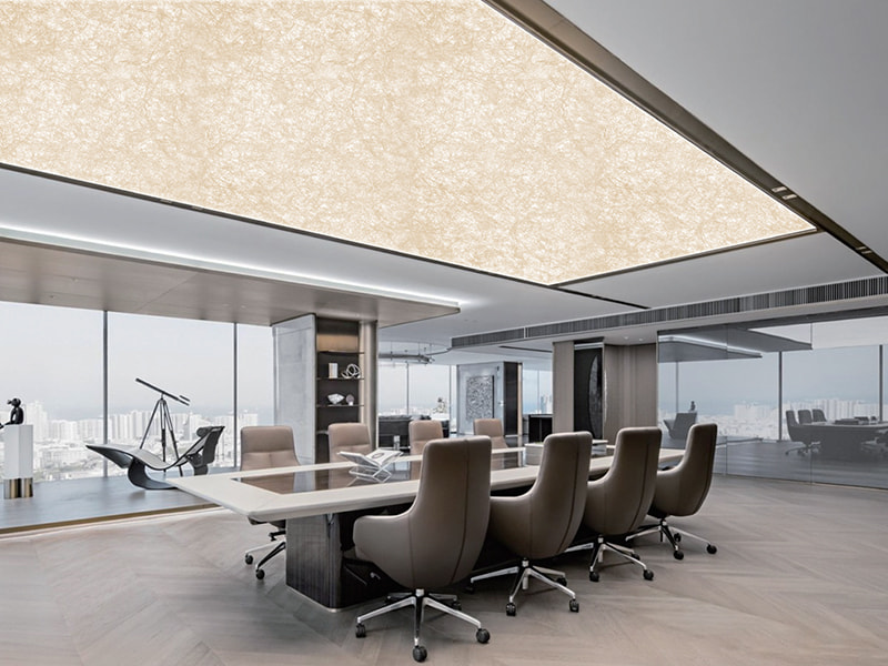 Film lembut langit-langit cetakan seni Film lembut langit-langit cetakan seni