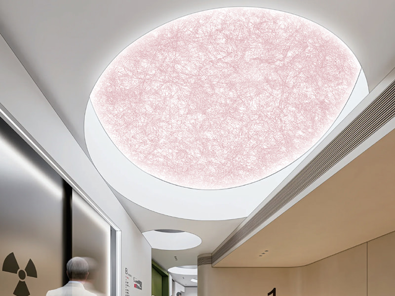 Film lembut langit-langit cetakan seni Film lembut langit-langit cetakan seni